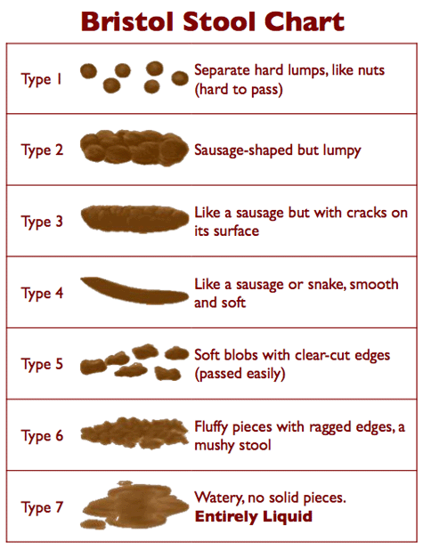 The Connection Between Keto Diet and Constipation