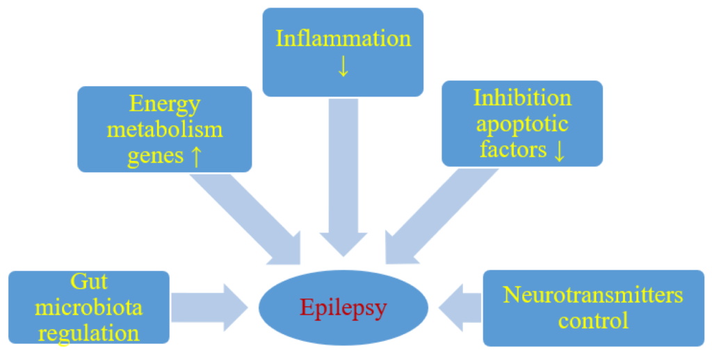 The Relationship Between the Keto Diet and Treating Epilepsy