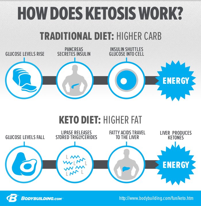 The Science Behind Why Keto Diet Works