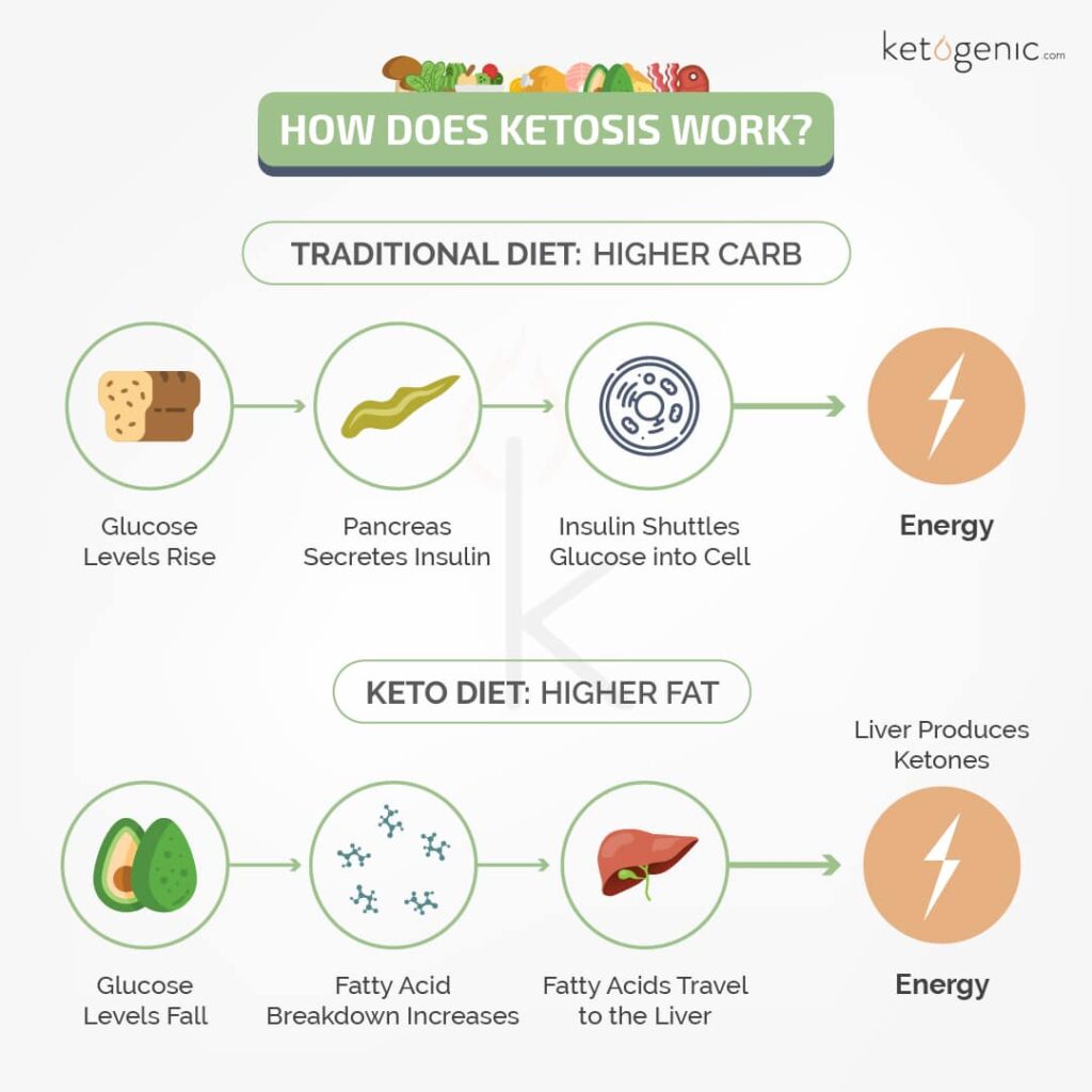 The Science Behind Why Keto Diet Works