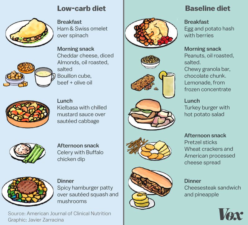 Understanding the Basics of a Low Carb Diet