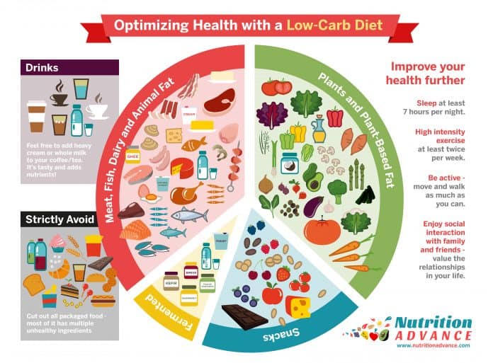 Understanding the Basics of a Low Carb Diet