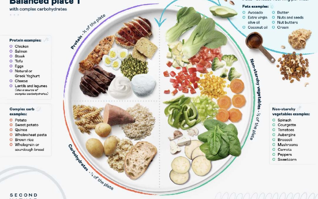 Understanding the Basics of a Low Carb Diet